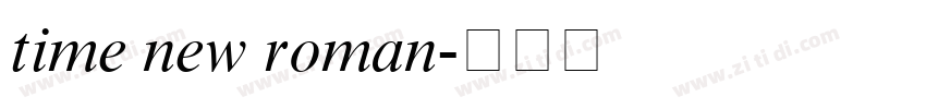 time new roman字体转换